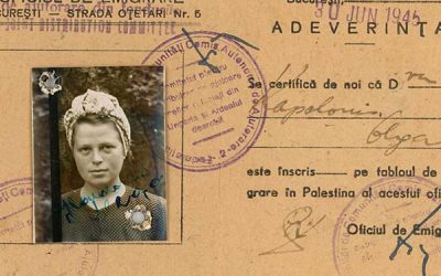 A Rare Romanian Artifact in the Archives