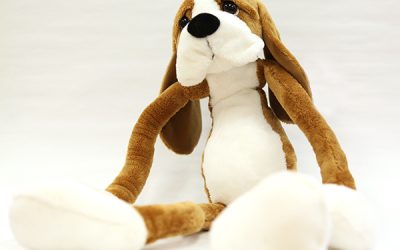 Lending a Paw: Hibuki Therapy