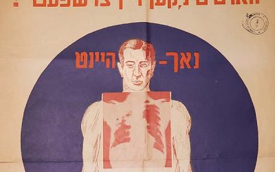 Public Health Posters in the DP Camps